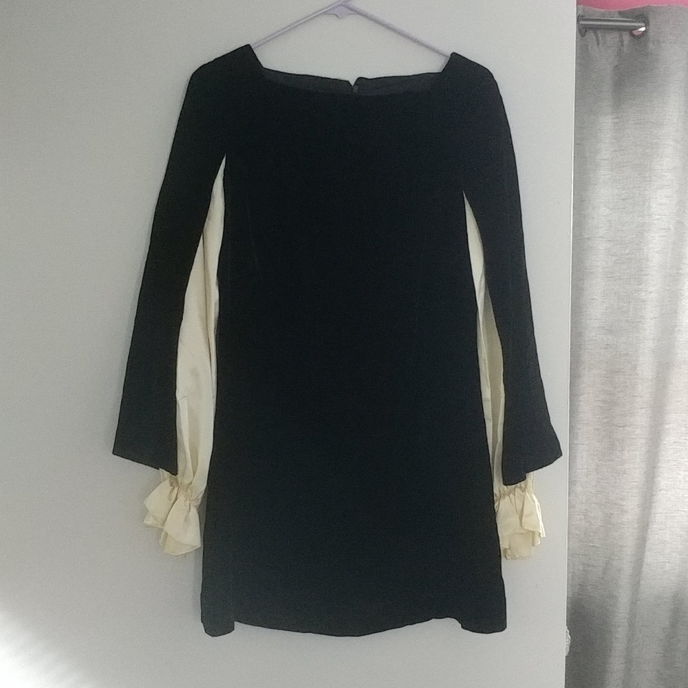 Vintage Velvet Dress
